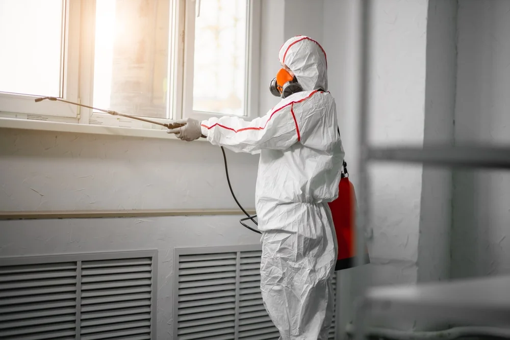 Professional mold remediation services in Kathleen, FL